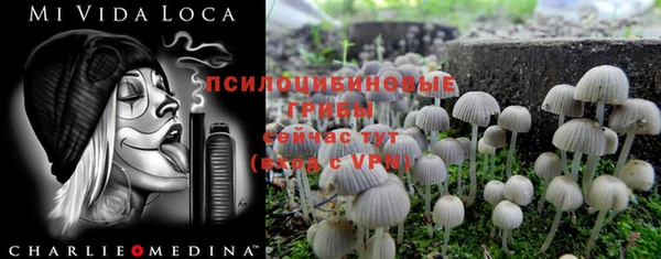 герыч Дмитриев