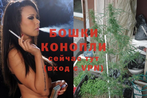 герыч Дмитриев